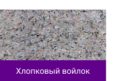 chvoilok.png chvoilok.png